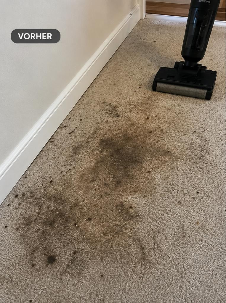 Teppich mit Verschmutzung vor der Reinigung mit dem Aurevia HydroForce